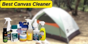 Best Canvas Cleaners